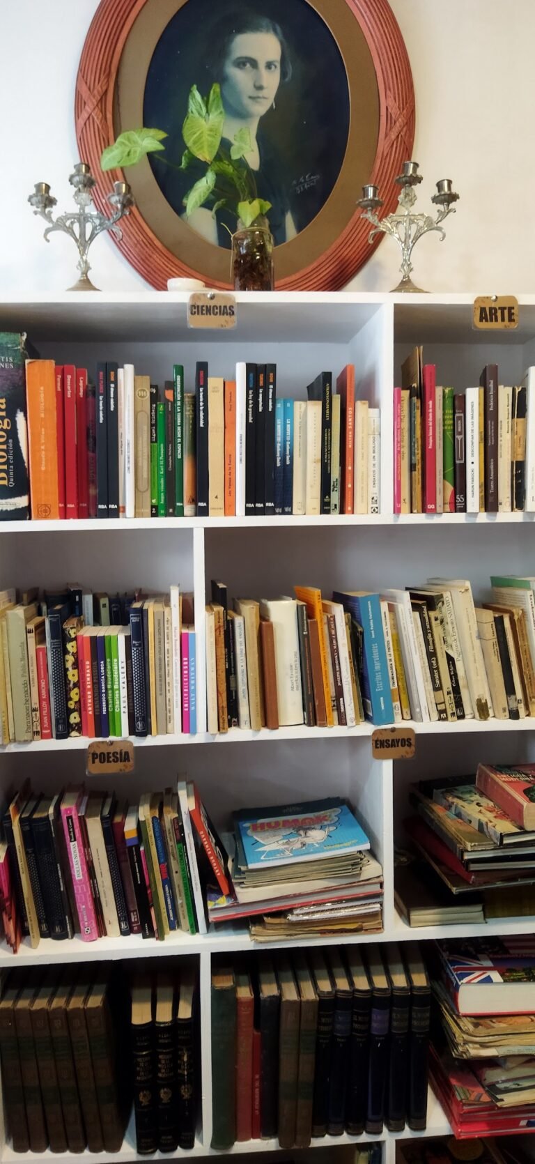 Gallery image